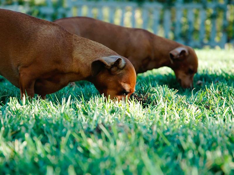 sudoku ios app screenshot 4