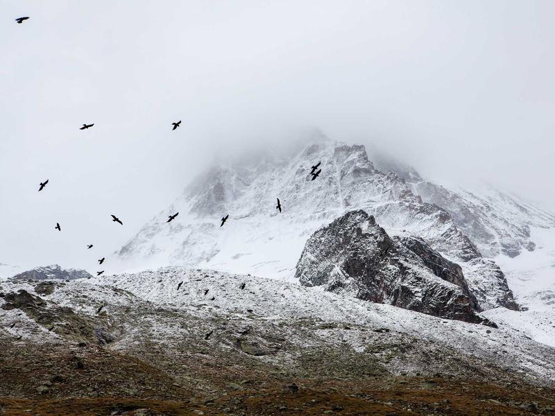 sudoku ios app screenshot 6